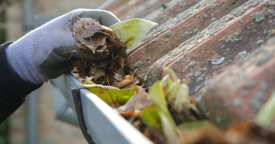 Seasonal Maintenance Tips Every Homeowner Should Know